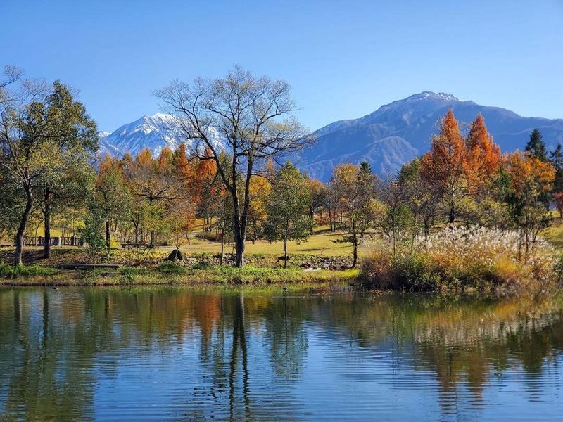 Bear sightings prompting workplace safety shifts in Japan photo