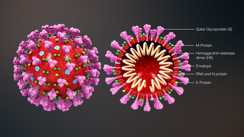 Pandemic preparedness from an expat’s perspective: how’s Japan doing? photo