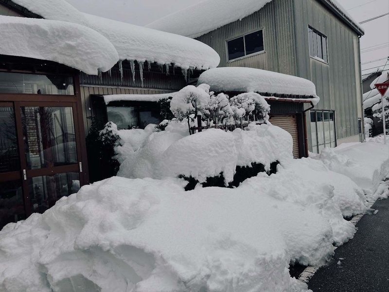 Winter struggles in Japanese offices photo