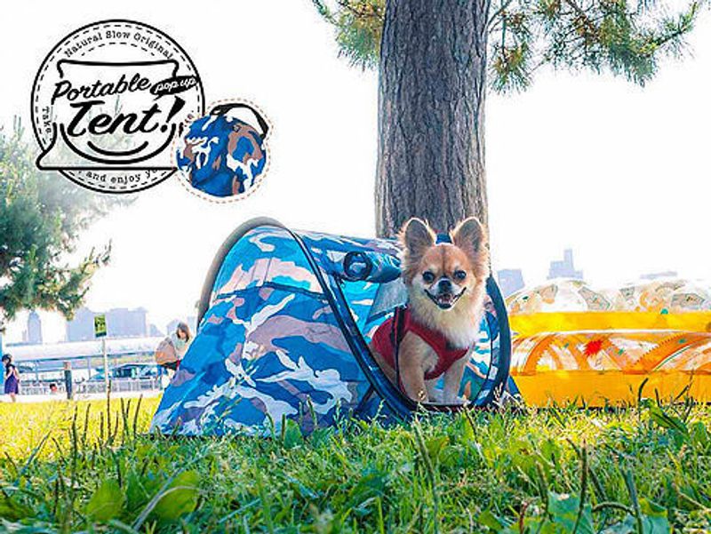 Pop-up tents for pets go on sale in Japan. Cuteness ensues photo