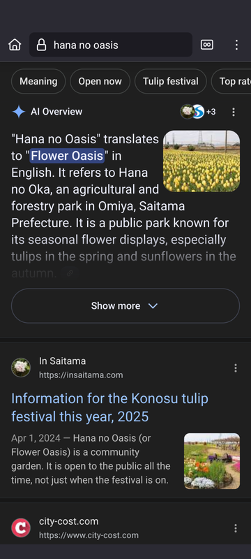 Why you shouldn't trust AI overviews for Japan photo