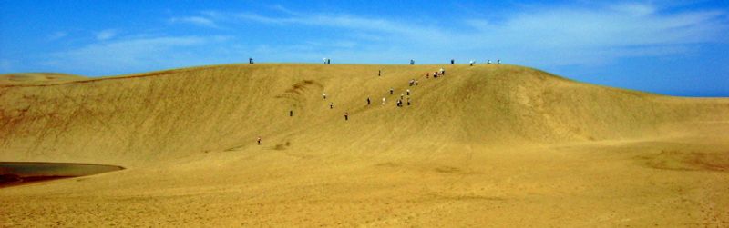 FREEBIE  - 日本最大的沙丘 photo