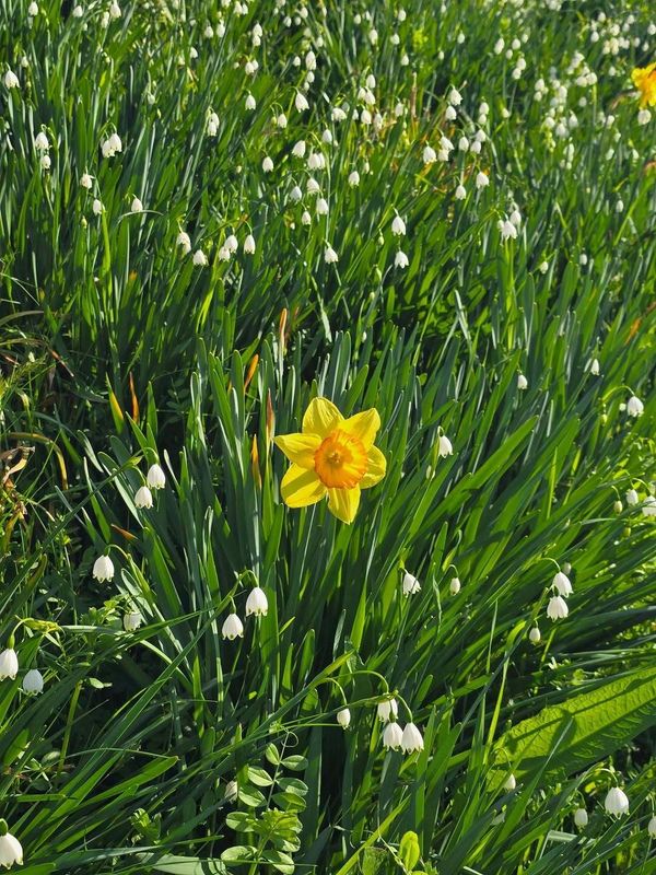 Tokyo ranked 5th Happiest City in the world photo