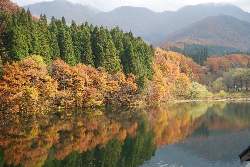 5 things I love about autumn in Japan photo