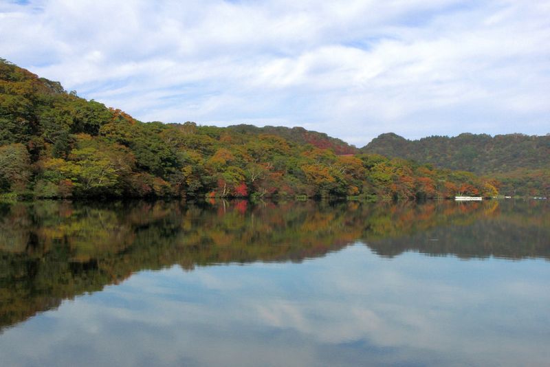 東京の紅葉を見るのに最適な場所、どのくらいの費用がかかりますか photo