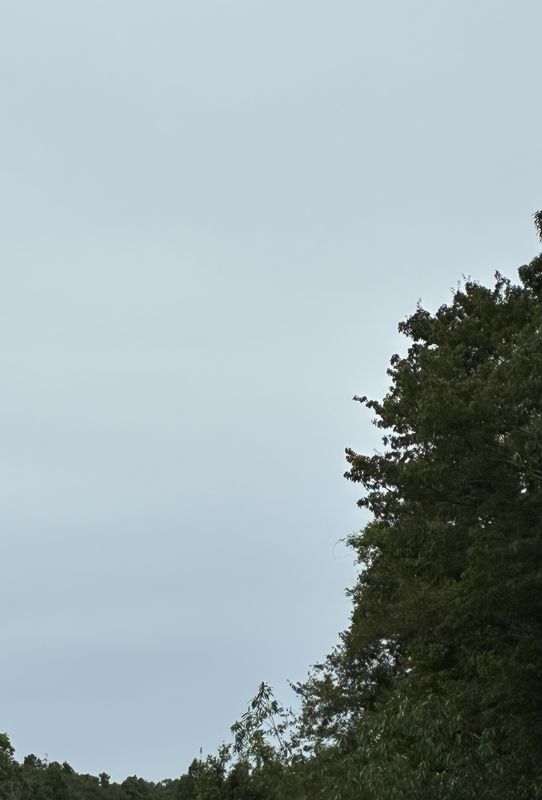 A Dull Silver Week photo
