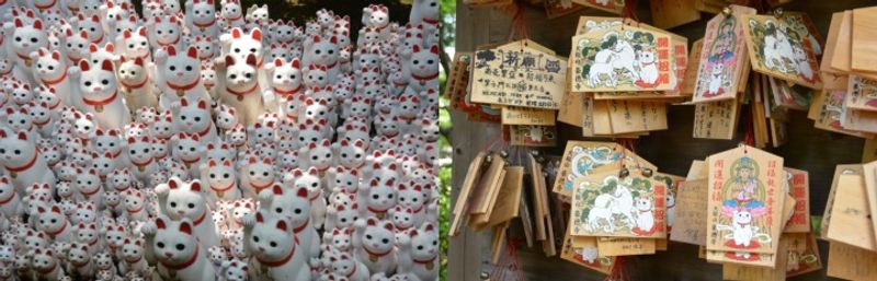 Five shrines & temples in Tokyo to enjoy for free
 photo
