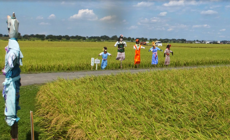 Microseason: Rice Ripens photo