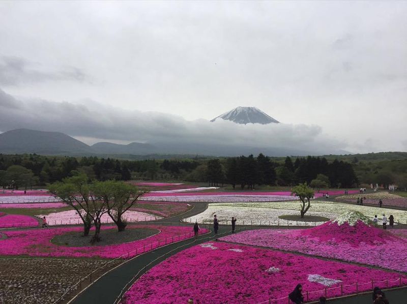 Romantic date destinations in Japan photo
