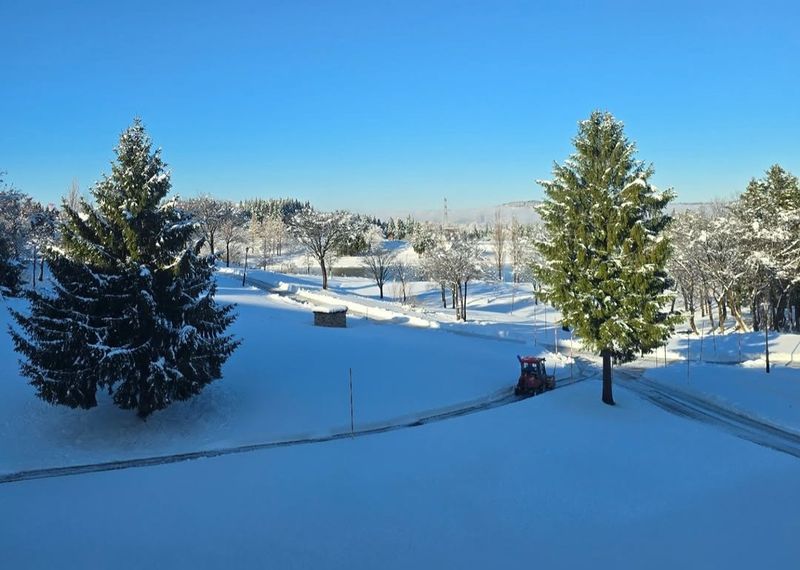 Missing summer in winter, missing winter in summer photo