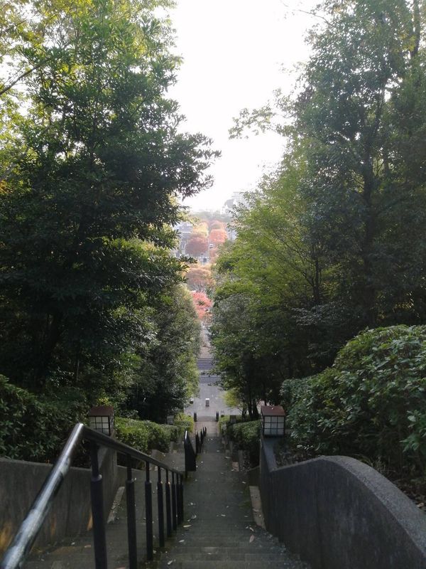 Explore Inagi City in Autumn! [SPOT REPORT] photo