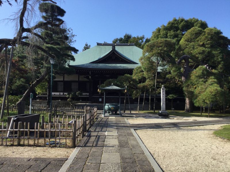 Tozenji in Matsudo City with a hint of autumn colour [SPOT REPORT] photo