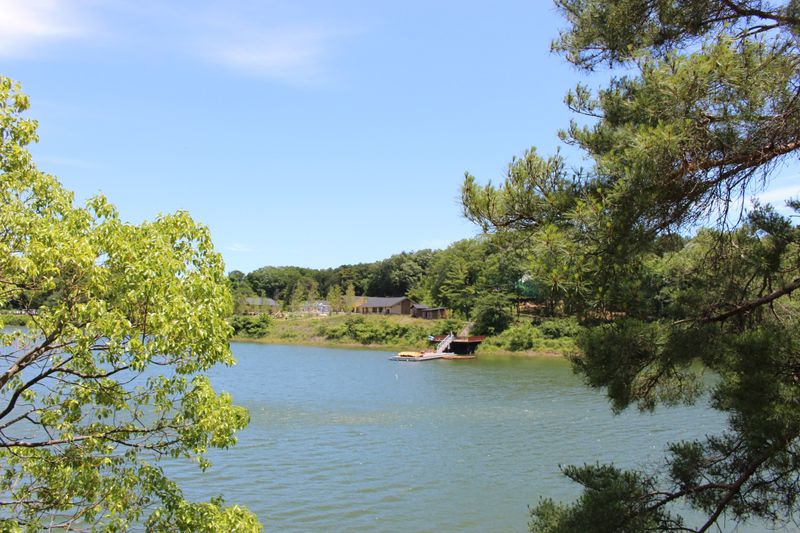 Forest and Lake Appreciation Week photo