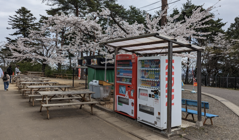Sakura Excellence at Yagiyama Zoo [SPOT REPORT] photo