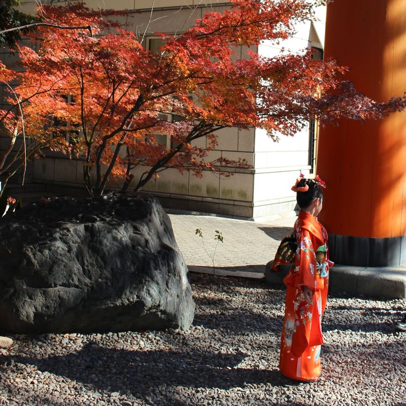 Happy Seven-five-three photo