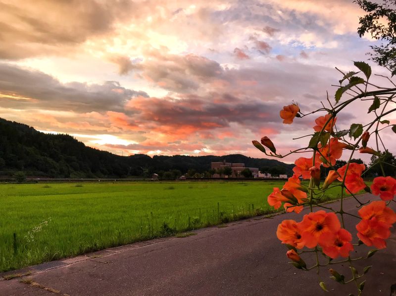 Japan's incredible sunsets photo