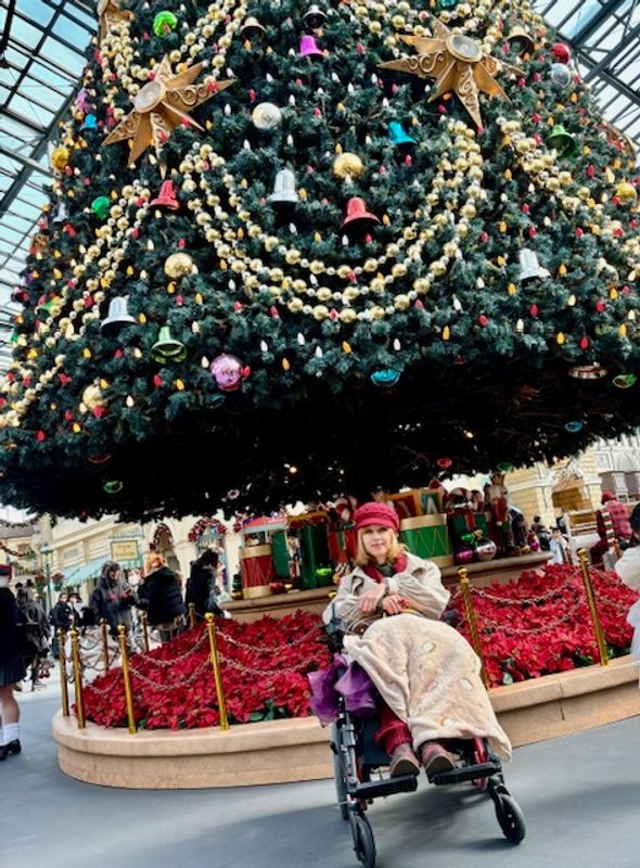 How to enjoy Tokyo Disneyland as a wheelchair user photo