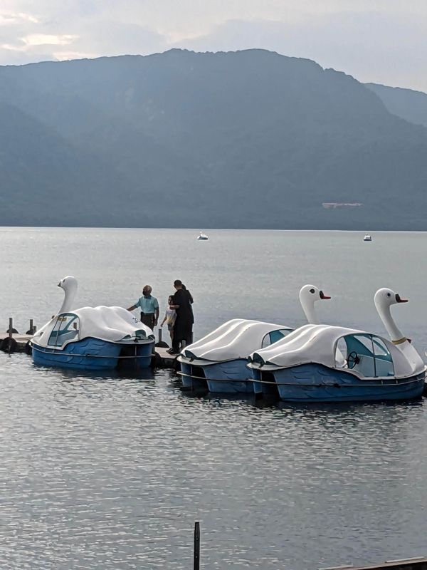 Swan Boat Season in Japan photo