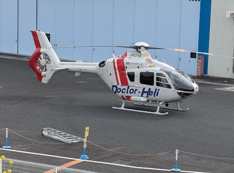 Helicopter day, recognizing the ingenuity and capabilities photo