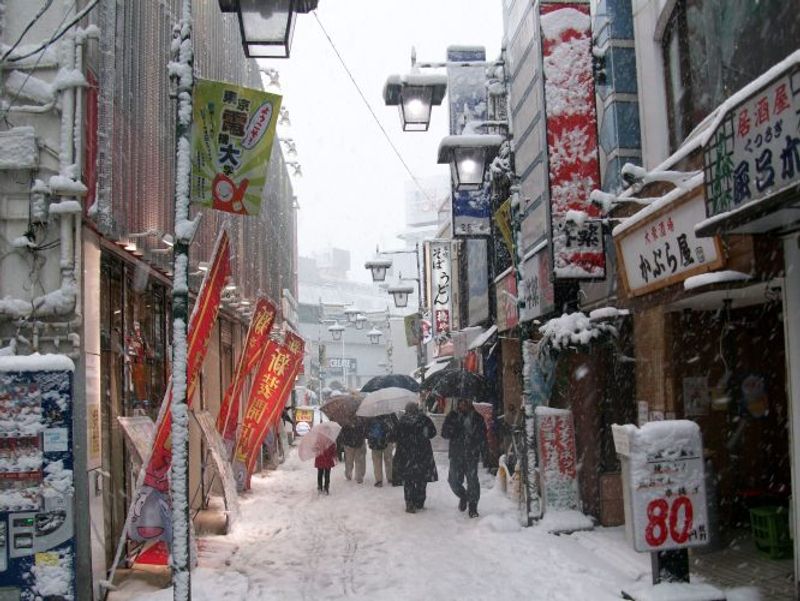 Tips For Dealing With Dry Winters In Japan photo