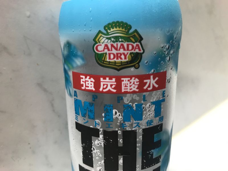 THE TAN SAN: Apple Mint Soda Water Review photo