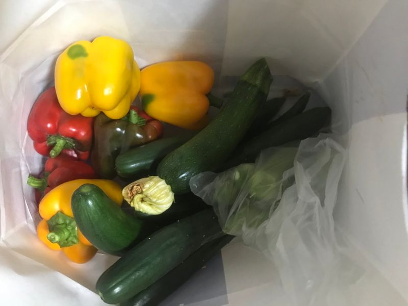 Our weekend free produce haul photo