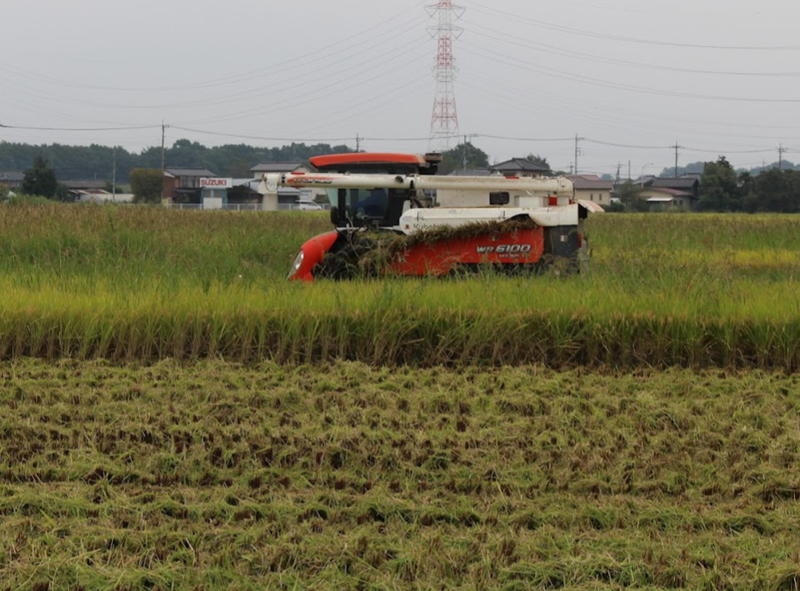 Microseason: Thunder Ceases photo