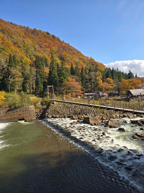 From (mostly) evergreen Australia to Japan's vivid autumns photo