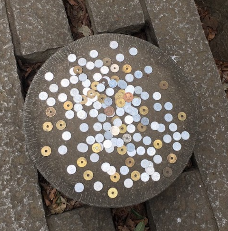 Coin Day, not just a currency photo