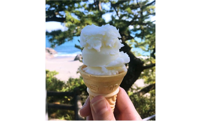 Kochi Prefecture's food & drink serves up classics and plenty of quirks photo