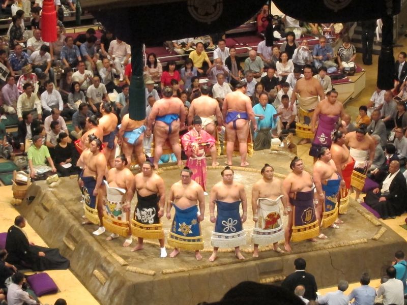 Experience a sumo game photo
