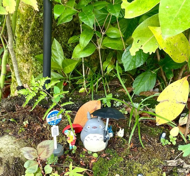Things I love about Japan's rainy season: moss photo