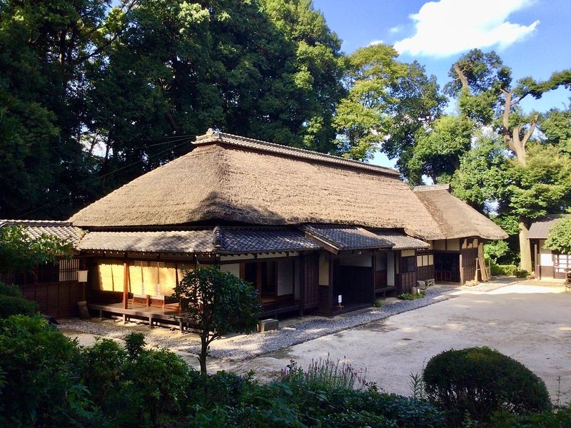 Beating the Heat in an Idyllic Saitama Landscape photo