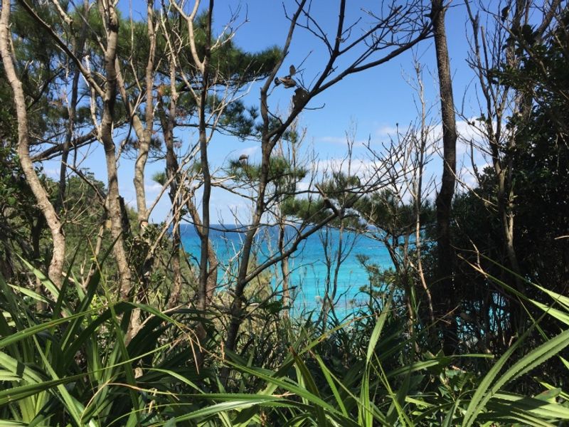 My favorite coastal spot in Japan - Okuma, Okinawa photo