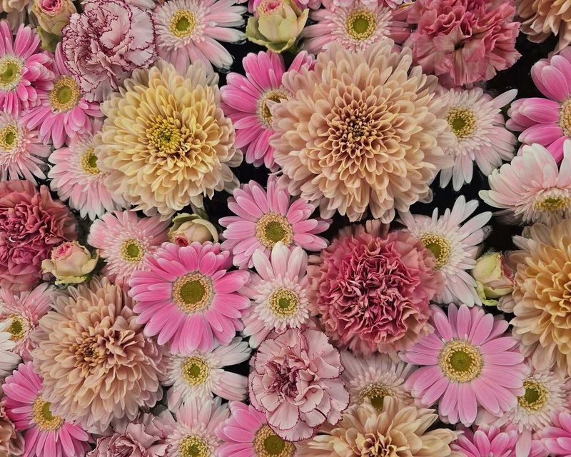 How much are you spending for Valentine's Day (if anything?) photo