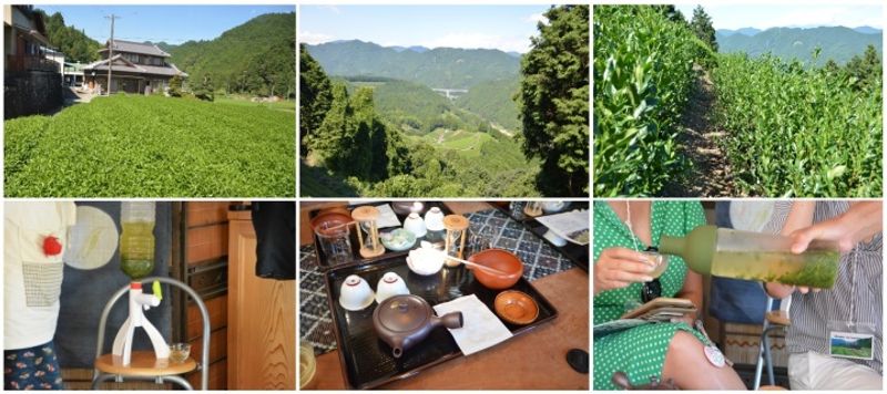 A Gorgeous Day with a lot of Green Tea at Shizuoka photo