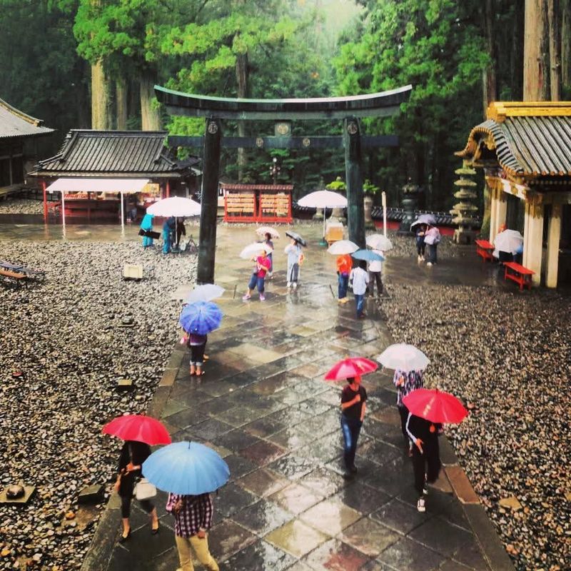 How Japan spends the rainy season photo