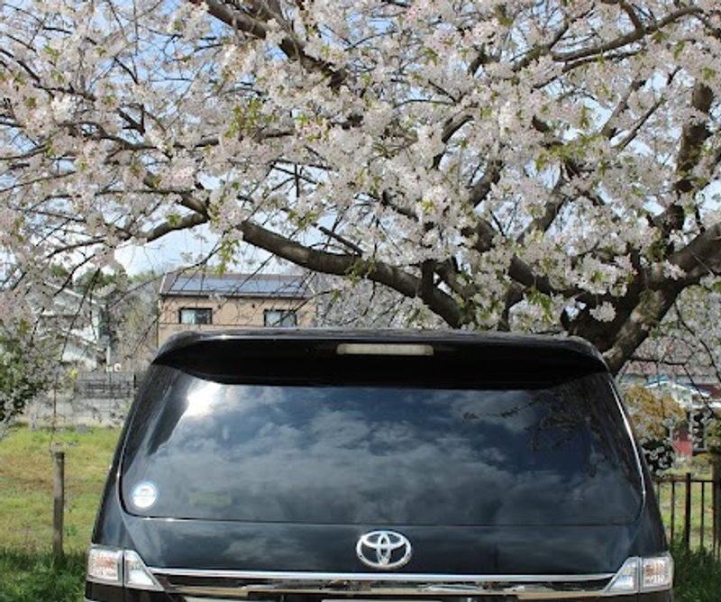 How i got into Japan's daily anniversaries photo