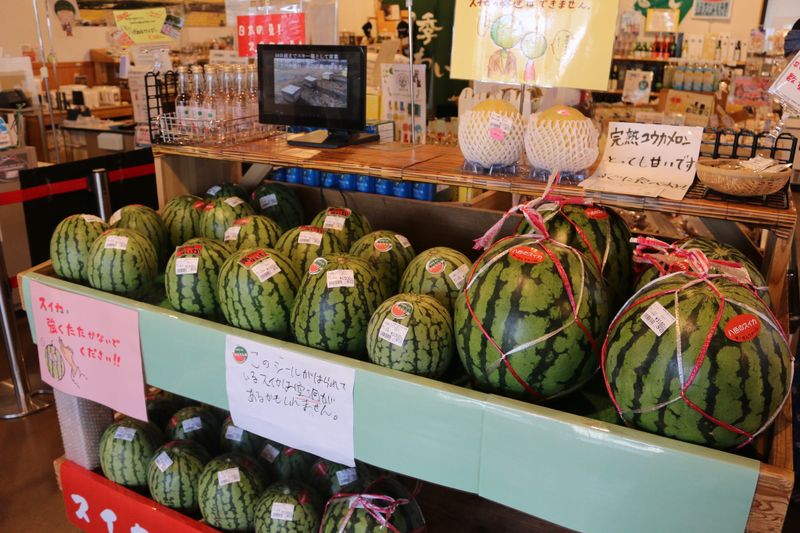 Go easy on the melons photo