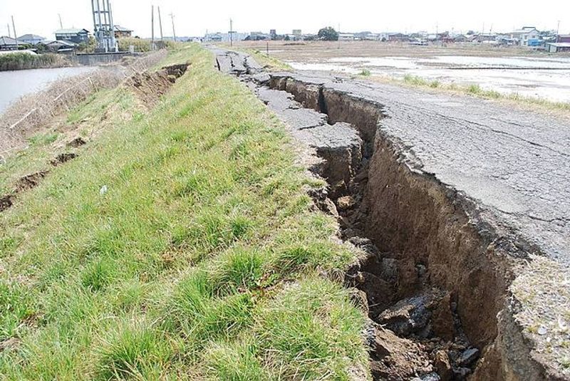 How to get info in and out in a disaster photo