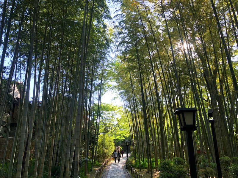 Kawazu Seven Falls, Shuzenji, Numazu: Tóquio para a viagem de carro de Izu photo
