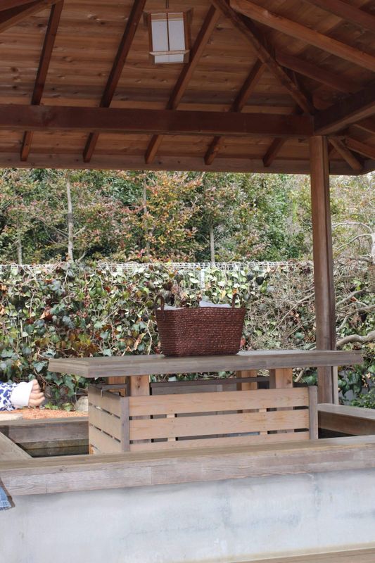 Love your feet! photo