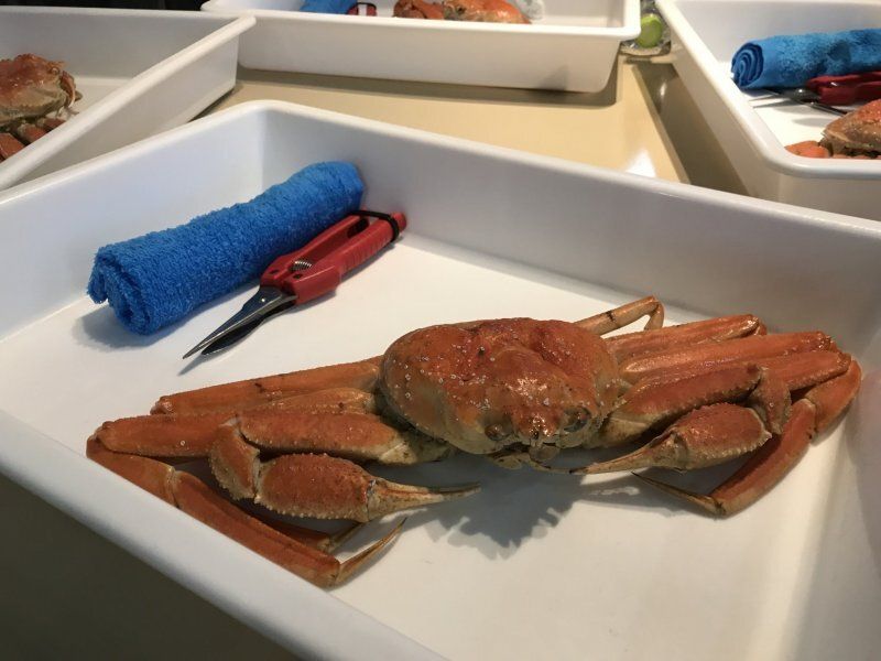 Things I didn't try early on: Eating crab photo