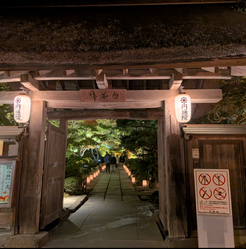 Matsushima's Fall Light Up 2025 photo