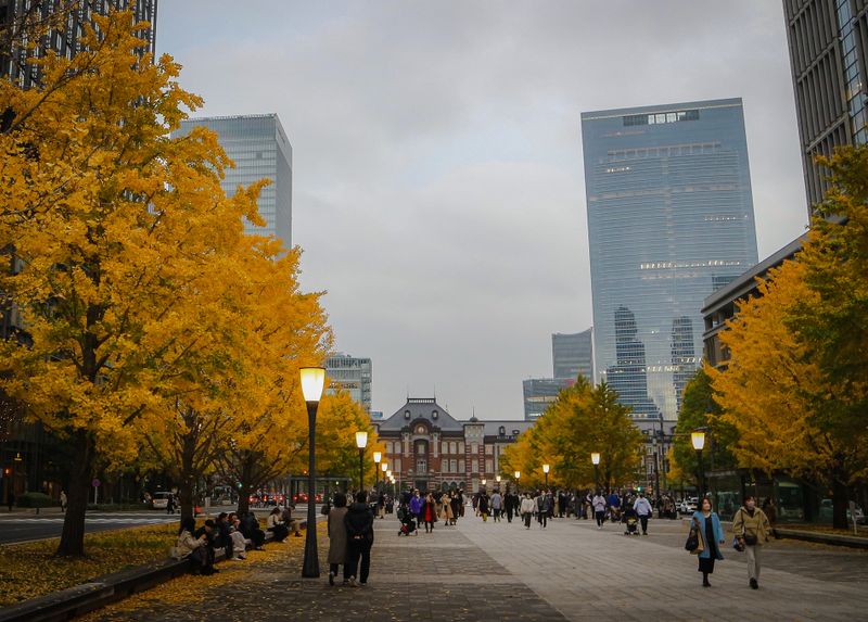 Images of Japan: November 2022 photo