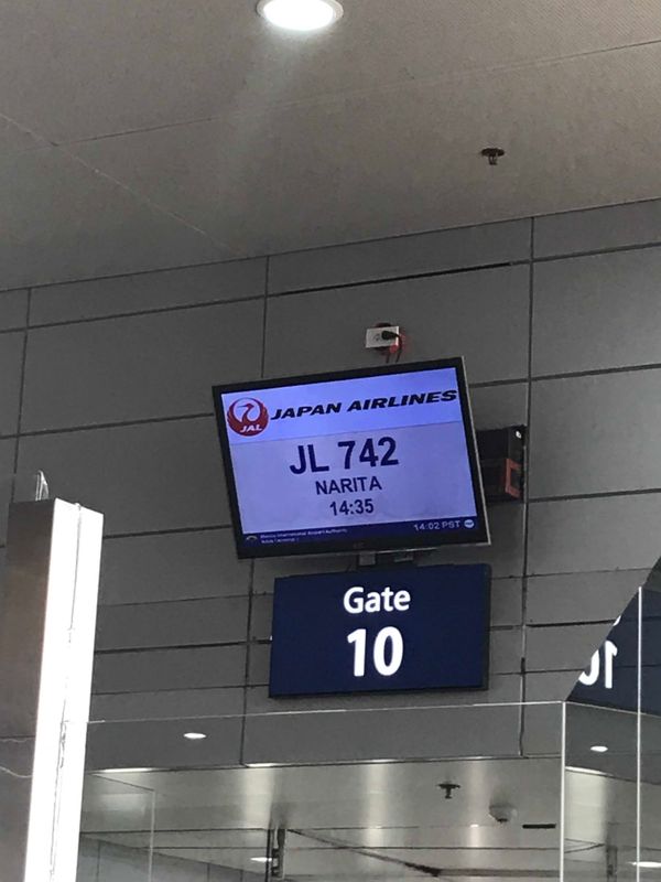 My travel love affair with JAL - the holiday homecoming photo