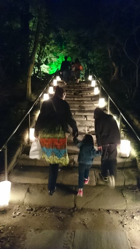 Matsushima Fall Light Up Review photo