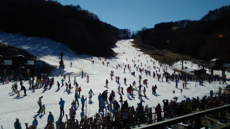Family friendly snow resorts in NAGANO commutable from Tokyo photo