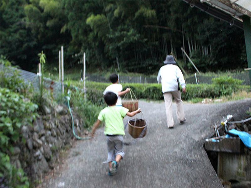 林夏子の「はてしないお茶物語」　vol.8　お茶農家民泊でお茶三昧♡ photo