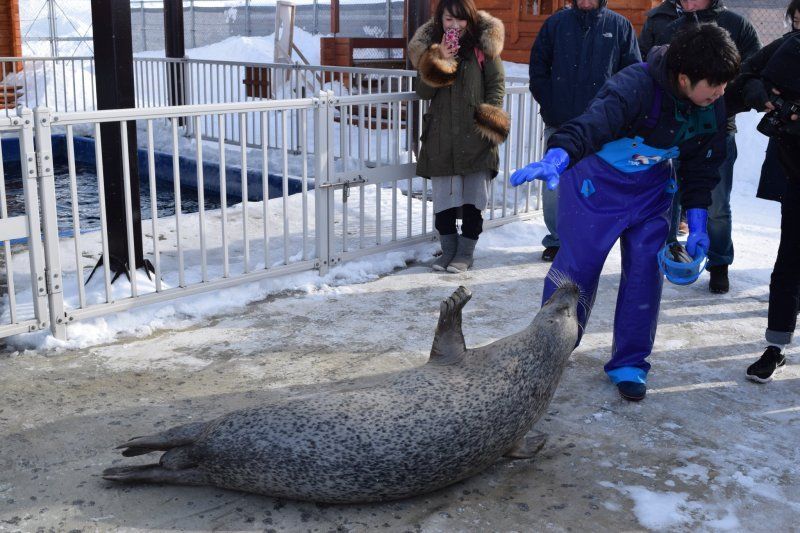 A nature experience like no other in Monbetsu photo